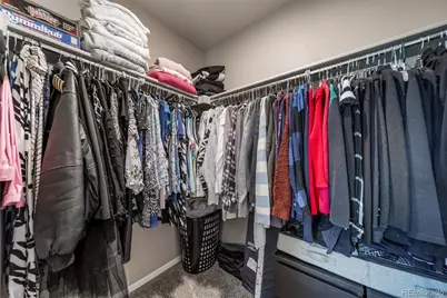 2042 Shadow Creek Drive, Castle Rock, CO 80104 - Photo 25