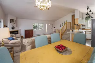 303 Willow Lake Ct, Silverthorne, CO 80498 - Photo 9
