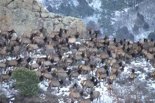 741 Big Wall Ln, La Veta, CO 81055 - Photo 17