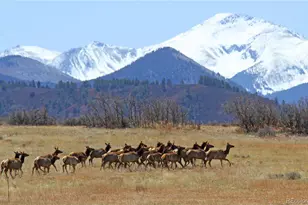 741 Big Wall Ln, La Veta, CO 81055 - Photo 19