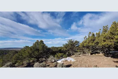 Lot 7265 Tiernan Road, Fort Garland, CO 81133 - Photo 7