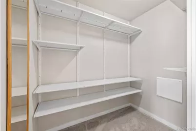 10137 Belvedere Loop, Lone Tree, CO 80124 - Photo 27