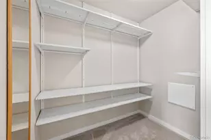 10137 Belvedere Loop, Lone Tree, CO 80124 - Photo 27