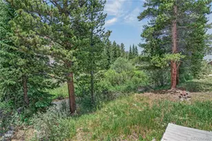 214 Mountain View Trail, Breckenridge, CO 80424 - Photo 5