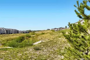 18317 Prince Hl Cir, Parker, CO 80134 - Photo 25