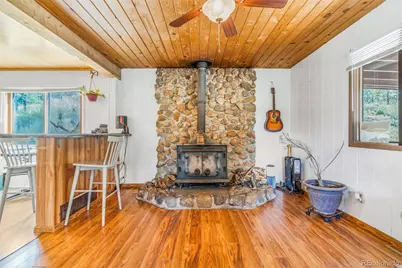 145 Bailey Drive, Bailey, CO 80421 - Photo 5