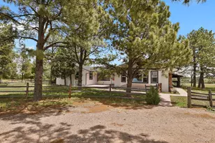 12222 N 1st St, Parker, CO 80134 - Photo 47