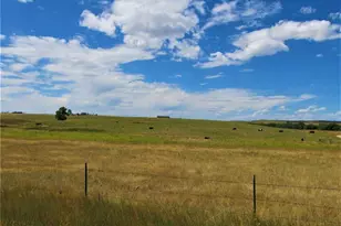 27925 Bambi Ave, Simla, CO 80835 - Photo 37