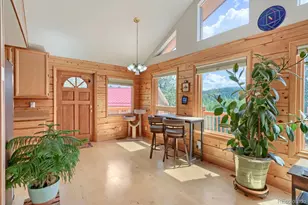 16 Mesa Ct, Bailey, CO 80421 - Photo 5