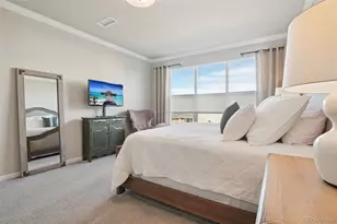 624 Simmental Loop, Castle Rock, CO 80104 - Photo 17