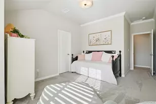 624 Simmental Loop, Castle Rock, CO 80104 - Photo 25