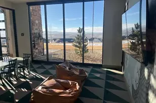 624 Simmental Loop, Castle Rock, CO 80104 - Photo 41