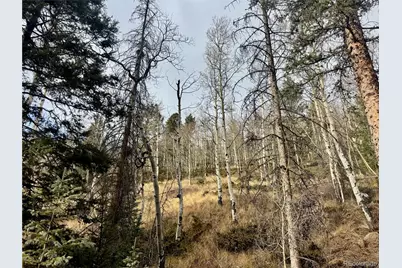 Ryland Road, San Luis, CO 81152 - Photo 3