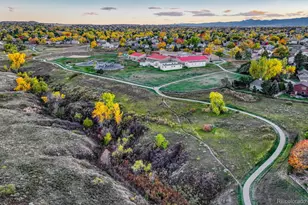 540 Snowy Owl Pl, Highlands Ranch, CO 80126 - Photo 41