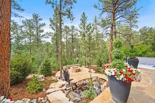 332 Ovida Pl, Castle Rock, CO 80108 - Photo 39