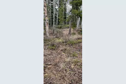 66 Rhodes Court, Fairplay, CO 80440 - Photo 11