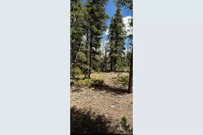 66 Rhodes Court, Fairplay, CO 80440 - Photo 9