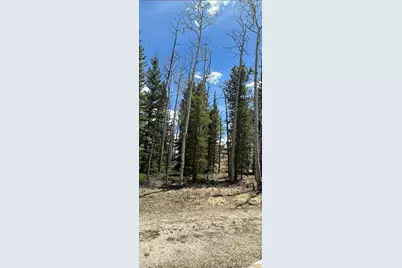 66 Rhodes Court, Fairplay, CO 80440 - Photo 7