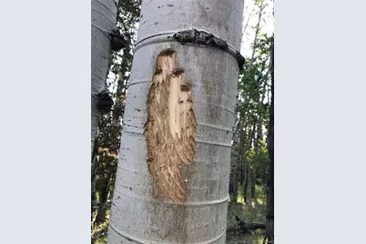 66 Rhodes Court, Fairplay, CO 80440 - Photo 21