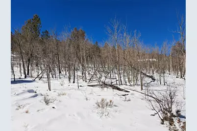 00 Redhill Road, Fairplay, CO 80440 - Photo 13