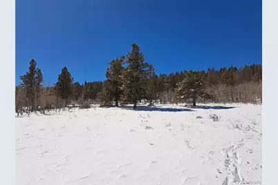 00 Redhill Road, Fairplay, CO 80440 - Photo 5