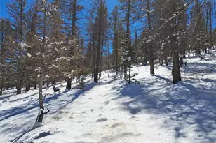 00 Redhill Rd, Fairplay, CO 80440 - Photo 1