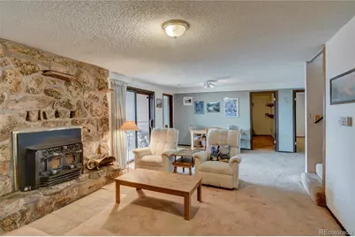 30520 Overlook Run, Buena Vista, CO 81211 - Photo 27