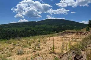 795 Russell Gulch Rd, Central City, CO 80427 - Photo 1