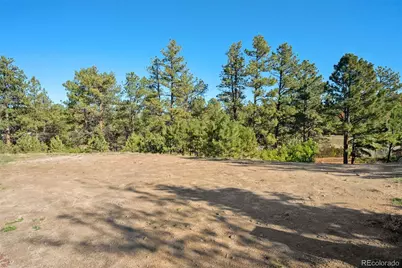 1767 Avenida Del Sol, Castle Rock, CO 80104 - Photo 5