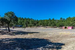 987 14th Trail, Cotopaxi, CO 81223 - Photo 43