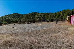 987 14th Trail, Cotopaxi, CO 81223 - Photo 49