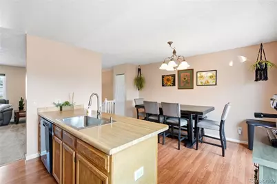 10029 Alcott Street, Denver, CO 80260 - Photo 7