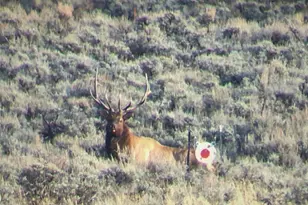 2000 Co Rd 60, Granby, CO 80446 - Photo 41
