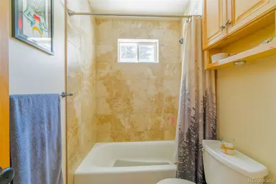 182 Rachaels Place, Alma, CO 80420 - Photo 35