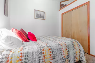 182 Rachaels Place, Alma, CO 80420 - Photo 17