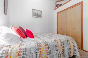 182 Rachael's Pl, Alma, CO 80420 - Photo 17