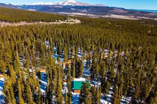 182 Rachael's Pl, Alma, CO 80420 - Photo 5