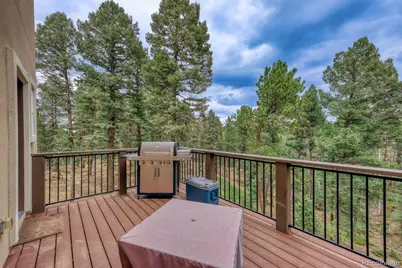 1897 N Mountain Estates Road, Florissant, CO 80816 - Photo 27