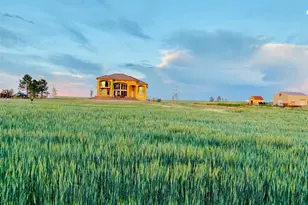 8505 Quail Run Rd, Watkins, CO 80137 - Photo 29