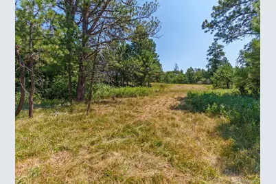 15969 Ray Drive, Larkspur, CO 80118 - Photo 7
