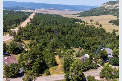 15969 Ray Drive, Larkspur, CO 80118 - Photo 5