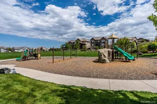 10425 Maplebrook Wy, Highlands Ranch, CO 80126 - Photo 49