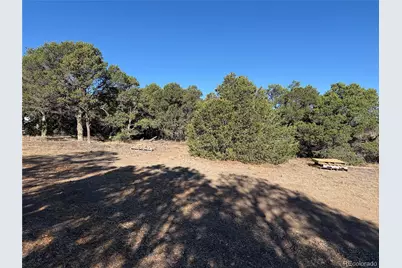 58 Acres Cr 510, Walsenburg, CO 81089 - Photo 15