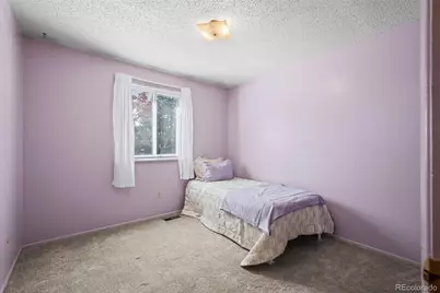 11506 Adams Street, Thornton, CO 80233 - Photo 13