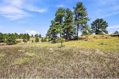 10461 Black Forest Drive, Parker, CO 80138 - Photo 13