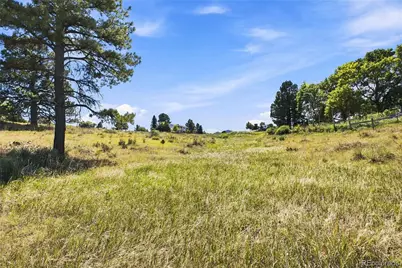 10461 Black Forest Drive, Parker, CO 80138 - Photo 11