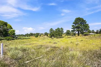 10461 Black Forest Drive, Parker, CO 80138 - Photo 3