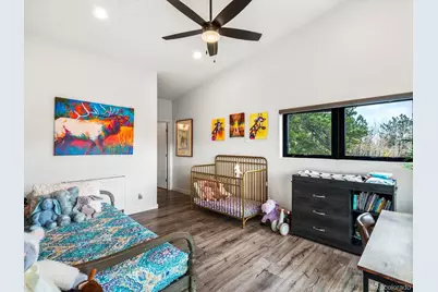 1044 Alps Hill Road, Central City, CO 80452 - Photo 23