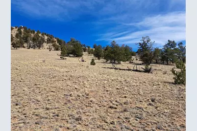 369 Summit Road, Hartsel, CO 80449 - Photo 23