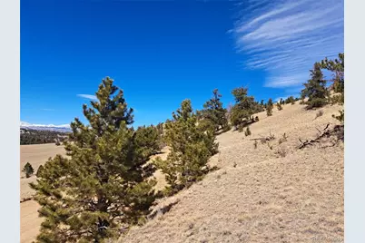 369 Summit Road, Hartsel, CO 80449 - Photo 5